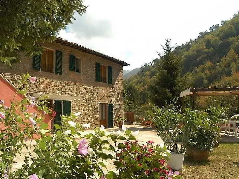 Casa Tucci Διαμέρισμα Reggello